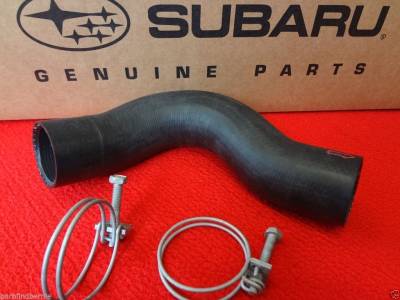 Cooling System - Radiator Hose Kits & Clamps - OEM Subaru - Subaru OEM Bottom Radiator Hose & Clamps Kit Forester Sports 2.5 X S 2006-08 / XT 2004-08