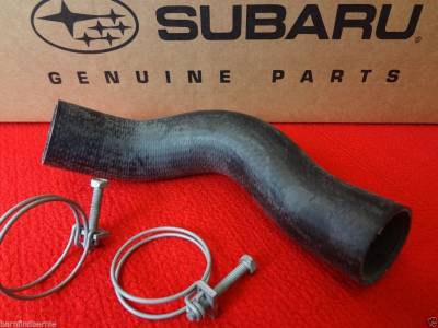 Cooling System - Radiator Hose Kits & Clamps - OEM Subaru - Subaru OEM Bottom Radiator Hose & Clamps Kit Forester S X 1999-2005